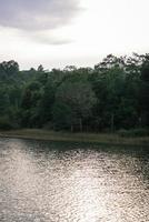 schöne natur, himmel, bäume, abendstimmung im khao yai nationalpark, thailand foto