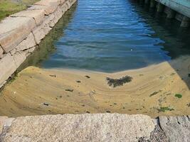Fluss oder Kanal mit Steinen und Pollen, die auf dem Wasser schwimmen foto