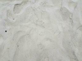 Vogelabdrücke oder -spuren auf trockenem Sand foto