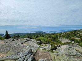 Blick auf Granitfelsen und Bäume vom Cadillac Mountain in Maine foto