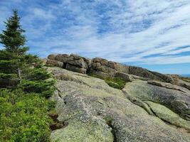 Blick auf Granitfelsen und Bäume vom Cadillac Mountain in Maine foto