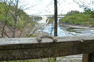 rostiges Hufeisen auf braunem Holzgeländer mit Wasserfall im Hintergrund foto