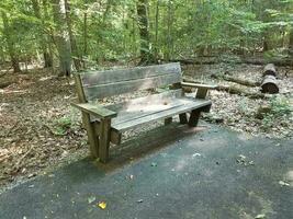 braune Holzbank auf schwarzem Asphaltweg im Wald foto