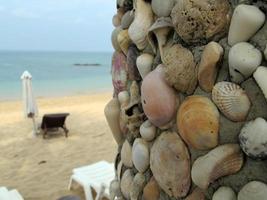 Muscheln und Meer foto