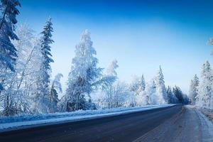 russischer Winterwald im Schnee foto