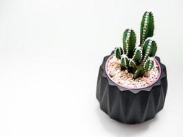 schwarzer geometrischer Pflanzer mit Kaktus. Pflanzgefäß aus bemaltem Beton für die Heimdekoration foto