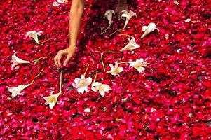 Karwoche Teppich aus Rosenblättern, Antigua, Guatemala machen foto