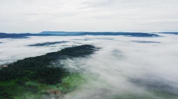 Berge mit Bäumen und Nebel in Thailand foto