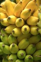 Bündel Bananen isoliert foto
