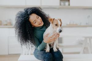 glückliche besitzerin von jack russell terrier hund, fühlt sich verantwortlich für die pflege des haustieres, hat buschiges dunkles lockiges haar, sitzt vor verschwommenem küchenhintergrund. Mensch und Beziehung zu Tieren foto