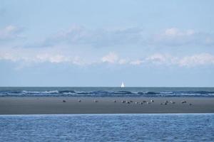 die insel spiekeroog in deutschland foto