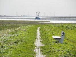 die insel spiekeroog in deutschland foto