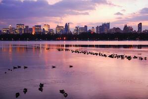 Skyline von New York City foto