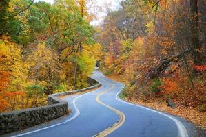 bunte kurvenreiche herbststraße foto