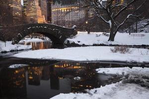 Central Park in New York City foto
