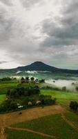 Berge mit Bäumen und Nebel in Thailand foto