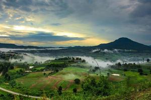 Berge mit Bäumen und Nebel in Thailand foto