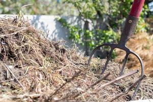 Gabel mit rotem Griff zum Kompostieren, Recycling von Rasen- und Gartenabfällen. Gabeln im Kompost stecken. Kompost im Garten herstellen und mischen. organischer Dünger für Gartenpflanzen. foto