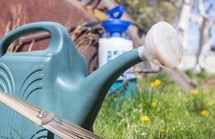 Blauer Plastiktopf zum Gießen im Garten. wässern kann. Gießkanne für Blumen auf der Straße, im Garten oder Garten an einem warmen sonnigen Sommertag. foto