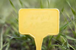 eine gelbe Gartenmarkierung aus Kunststoff, die auf eine Pflanze im Garten hinweist. Etikettengarten zum Markieren. eine wiederverwendbare platte dient zur anzeige von informationen über angebaute kulturen. foto