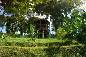 Selektive Fokussierung des Blicks auf den Garten mit einem schönen Pavillon. schöne Aussicht auf den Garten. foto