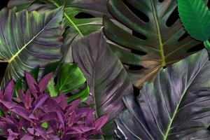 grünes Blattmuster für Naturkonzept, strukturierter Hintergrund des tropischen Blattes foto