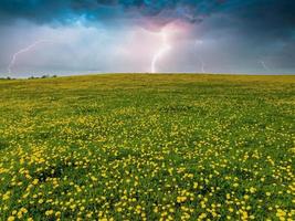 Luftaufnahme des gelben Blumenfeldes unter blauem bewölktem Himmel. grünes Feld mit gelbem Löwenzahn. foto