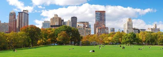 new york city manhattan central park skyline-panorama foto