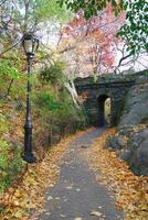 New York City Central Park Steinbrücke