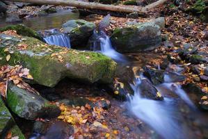 Herbst Creek Nahaufnahme foto