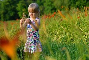 kleines Mädchen auf der Blumenwiese. foto