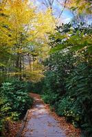 Herbstwanderweg foto