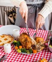 Frau bereitet Thanksgiving-Dinner in der heimischen Küche zu, Hund schaut von hinten auf den Tisch