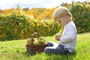 kleines Kind, das mit Äpfeln am Obstgarten spielt
