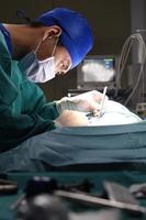 Tierarztchirurgie im Operationssaal