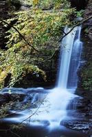 Wasserfall mit Bäumen foto