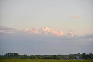 abendwaldhorizont mit gewitterrosa wolken foto