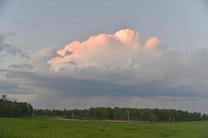 abendwaldhorizont mit gewitterrosa wolken foto