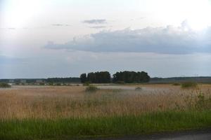 Nebel über dem Sumpf am Abend im Feld foto