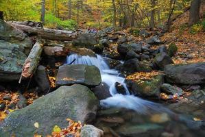 Herbst Creek Nahaufnahme mit Ästen foto