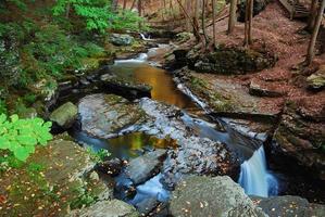 Bach im Wald foto