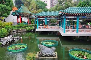 Hongkonger Garten foto