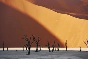 Bäume, die tot sind, sind im Sand. majestätischer blick auf erstaunliche landschaften in der afrikanischen wüste foto