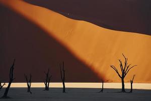 berühmter touristischer ort mit toten bäumen. majestätischer blick auf erstaunliche landschaften in der afrikanischen wüste foto