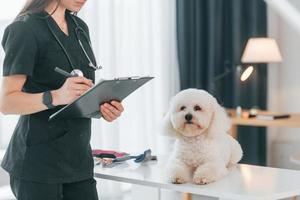 frau, die notizblock hält und sich notizen macht. süßer kleiner hund ist in der tierklinik foto