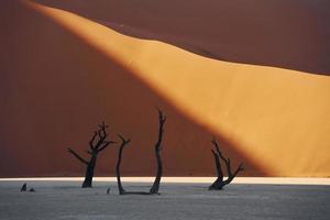 Ort mit toten Bäumen. majestätischer blick auf erstaunliche landschaften in der afrikanischen wüste foto