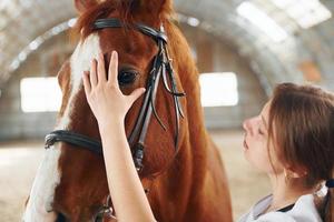 Begriff der Veterinärmedizin. Ärztin im weißen Kittel ist mit Pferd auf einem Stall foto