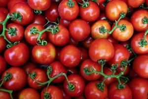 Hintergrund mit roten reifen Tomaten auf Ästen foto