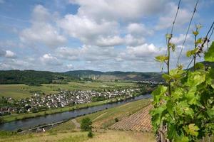 Mosel in der Nähe von Traben Trarbach, Deutschland foto