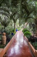 Majorelle-Garten in Marrakesch, Marokko foto